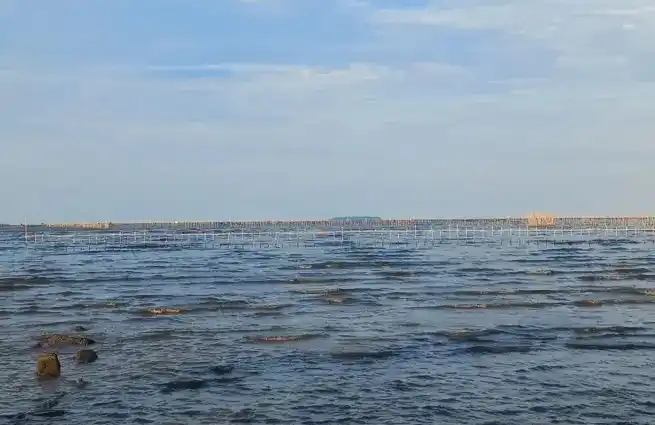Pagar Laut